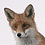 Aaron_A