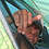George_Bachrach