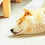Hidenori_Fujii