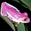 Plynx