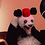 Vincenz_Hog